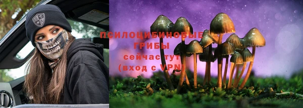 сатива Алексин